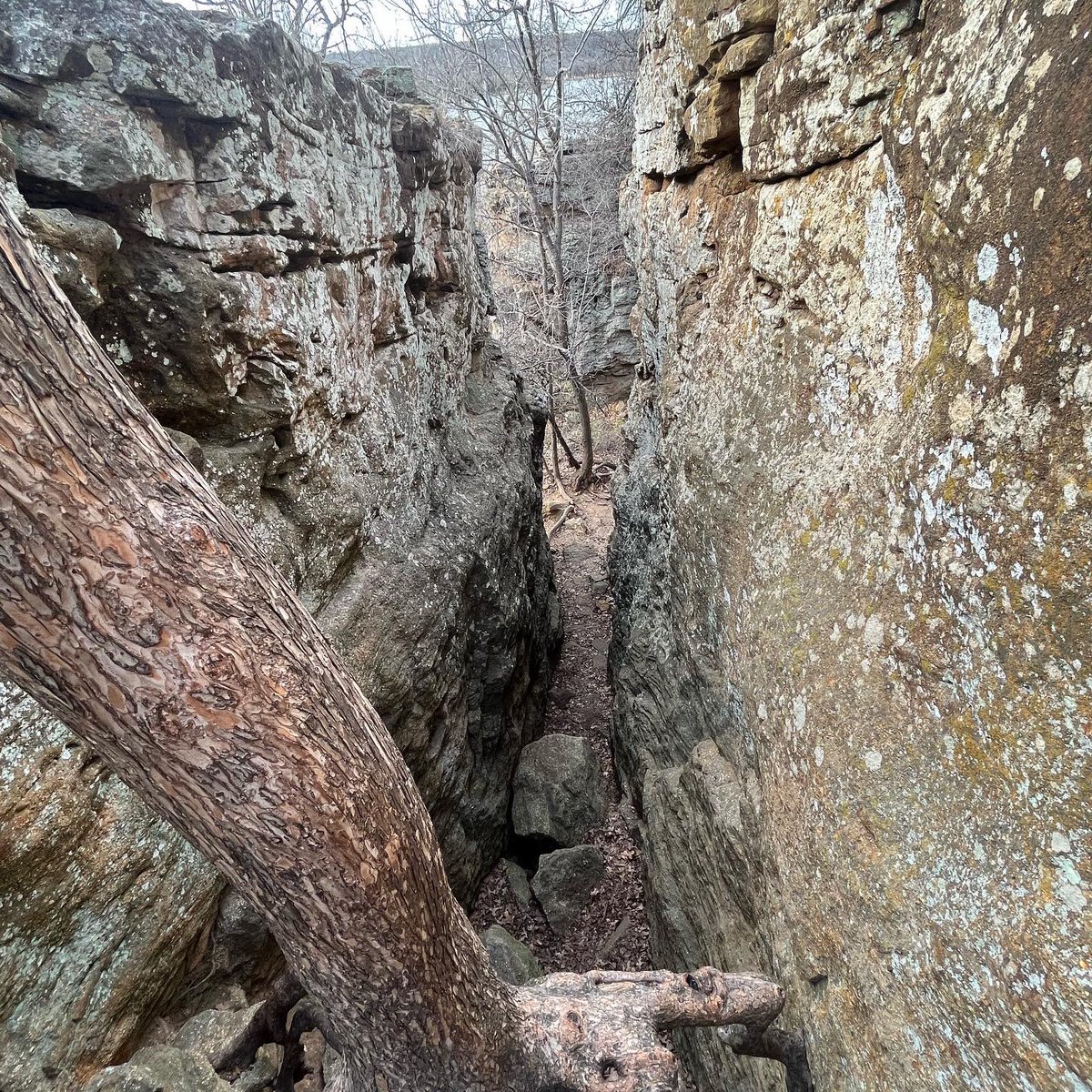 waterdud3's tweet photo. Somebody pay me to walk the world #outdoors #takeahike https://t.co/oJmGIxn4jf