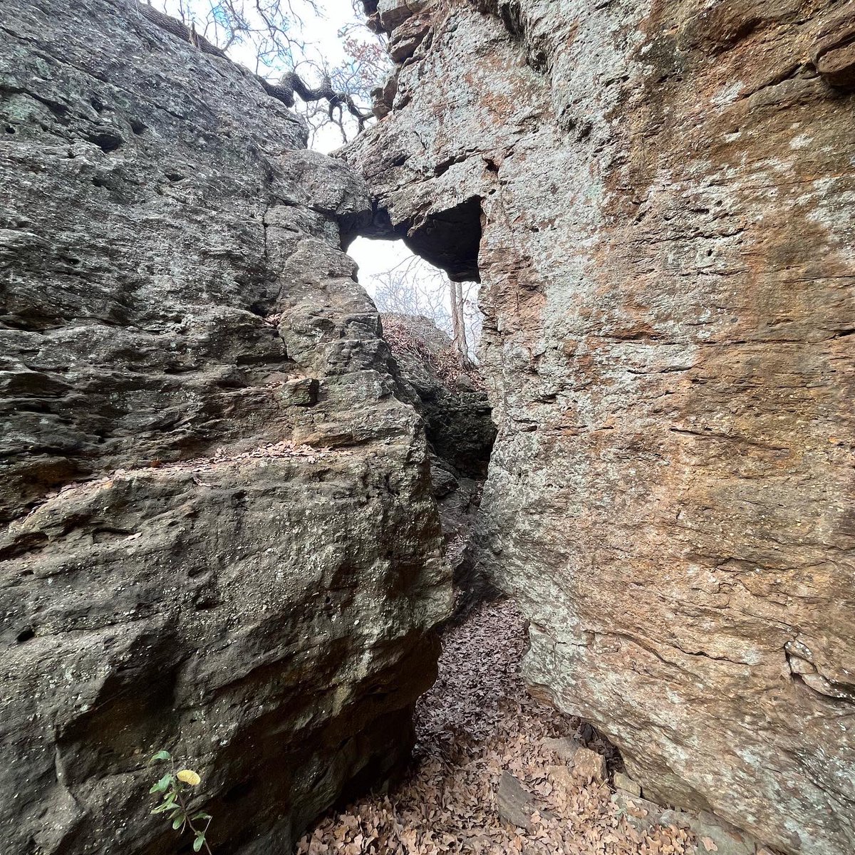 waterdud3's tweet photo. Somebody pay me to walk the world #outdoors #takeahike https://t.co/oJmGIxn4jf