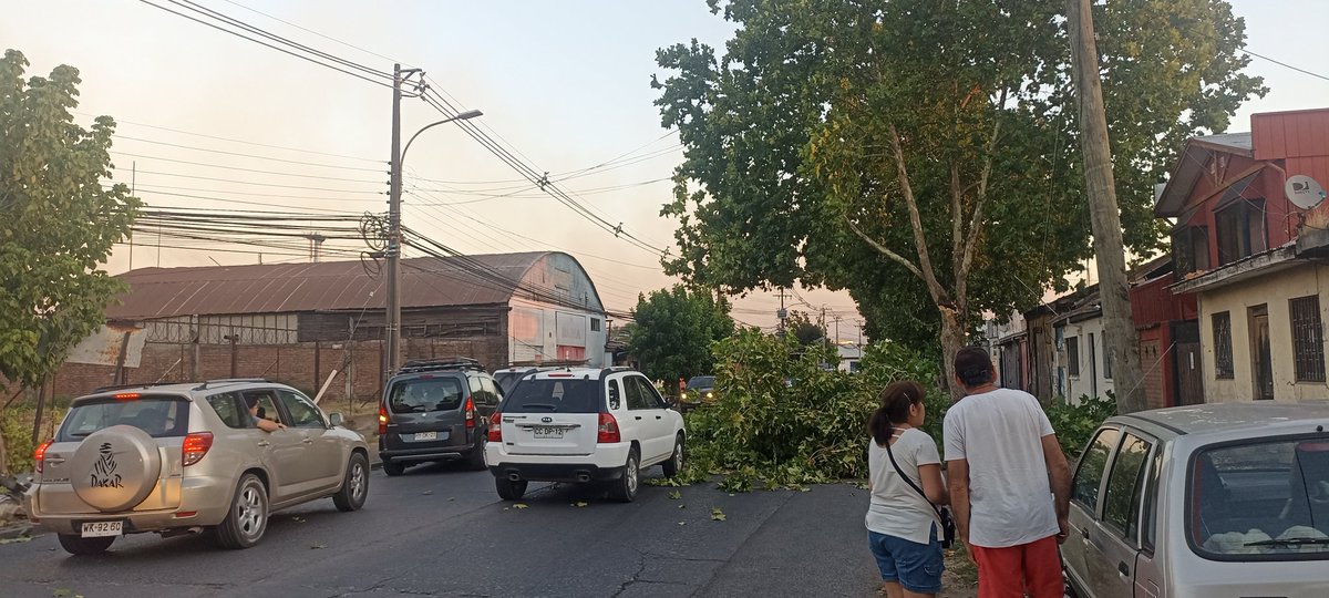 shadowinteryell's tweet image. #ñuble  los vientos por el incendio son impactantes esto sigue si no decretan toque de queda seguirá pasando lo mismo #Chillan #Emergencia #Incendiochillan