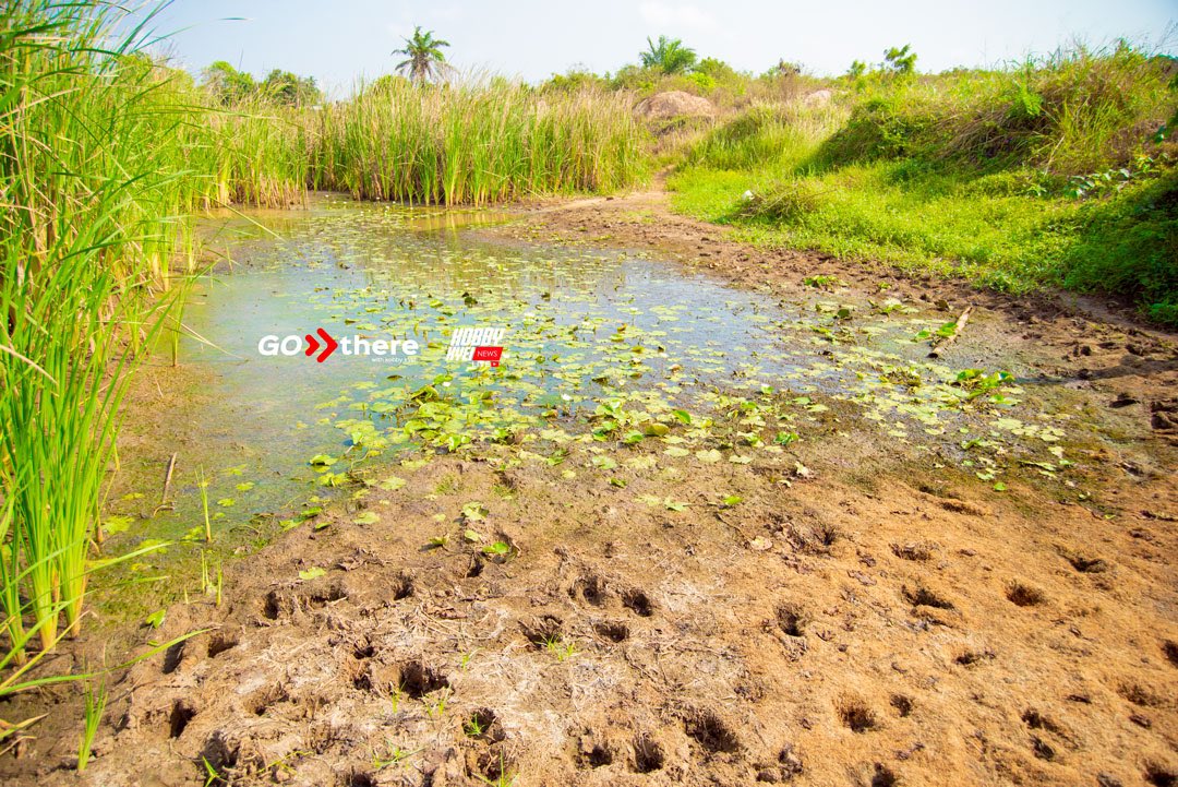 KobbyKyei_'s tweet photo. CENTRAL REGION! 🇬🇭GOMOA KWEIKROM STORY:
According to some Youths Leaders in the community, their biggest challenge is the kind of water they use, which we had the opportunity to see and can testify.
1/2 https://t.co/3wT84gDWA3
