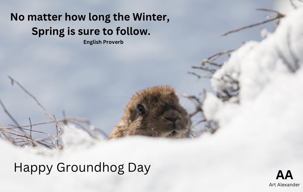 Art Alexander tweet media