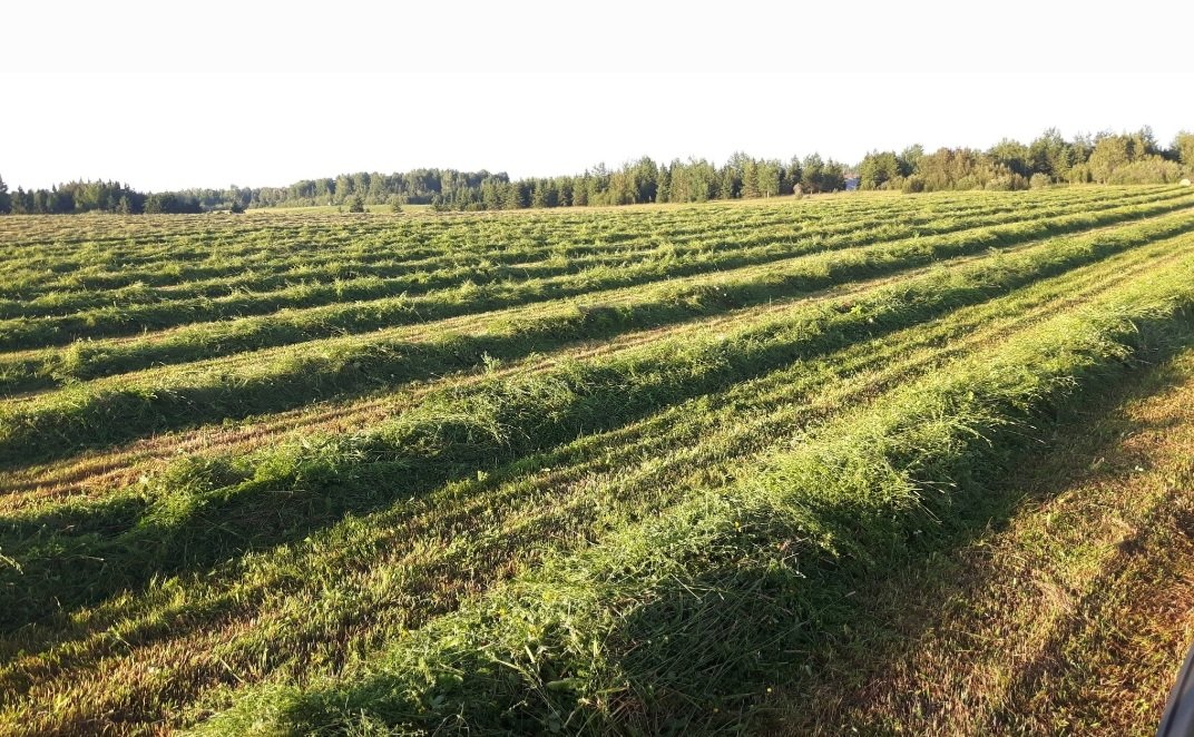 We are looking for growers interested in growing high quality, high value hay here in Ontario.
onforagenetwork.ca/ontario-hay-fo…
