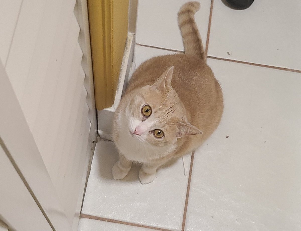 Minasbeans's tweet photo. There's something there! https://t.co/75ljlPAQ1w