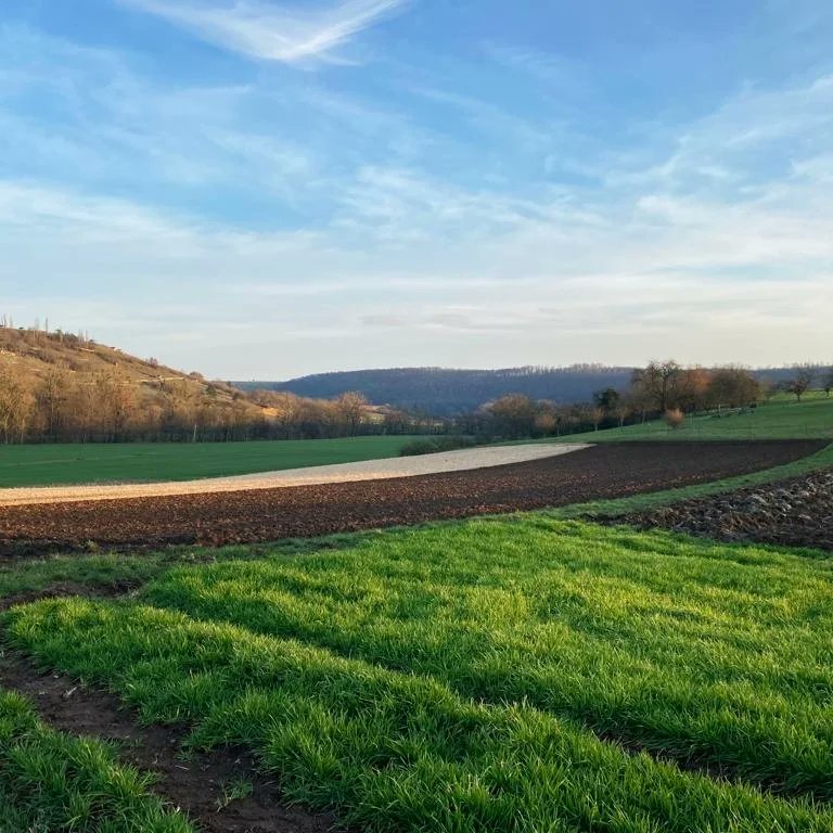 DonViajon's tweet photo. Cuando las nubes lo permiten podemos admirar y disfrutar de hermosos paisajes a lo largo del río #Enz durante esta temporada de #invierno en #badenwürttemberg, que seguro a tí también te encantaría!
#donviajon #viajandoconpasion #viajeros #tehabloespañol #visitbawü #visitbawu https://t.co/ivTMC8CWt8