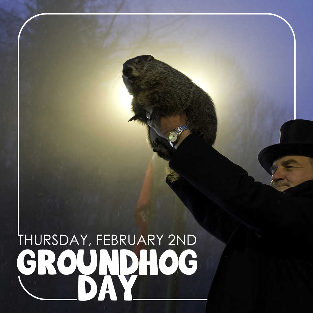 Did you hear the news?! Punxsutawney Phil called for six more weeks of winter! Who's excited? No matter what this little groundhog says, remember that Hawaii has summer all year-round. Just sayin'! 🤙🏝️🏄🍍🌞
#GroundhogDay #HaleKoaHotel #Waikiki #Hawaii
