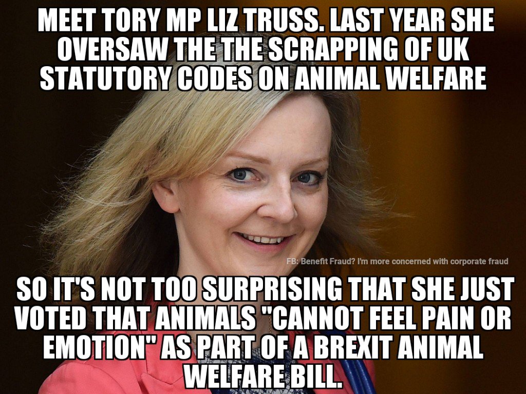 Britain_People's tweet image. 🔴'ANIMALS Cannot Feel Pain Or Emotion' 

LIZ TRUSS oversaw the scrapping of UK statutory law on #animal welfare. 👇