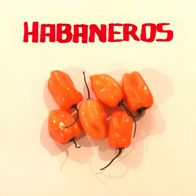 1241308893 added Planet X by Calimossa (from the album Habaneros) to 💎🗓️ The Weekly Eclectic Mix
open.spotify.com/playlist/03FtM…