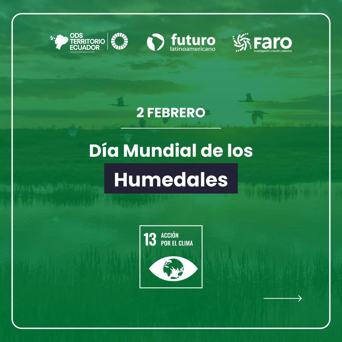 FuturoLatinoame's tweet photo. #Proyecto #ODSTE | ¿Sabías qué? Los #humedales son grandes reservorios de #agua y espacios de vida animal y vegetal. La sensibilización es urgente para revertir la pérdida acelerada de humedales y promover su conservación y restauración. 🌎💧🌳 #ODS13 https://t.co/oa3u2HmWMj