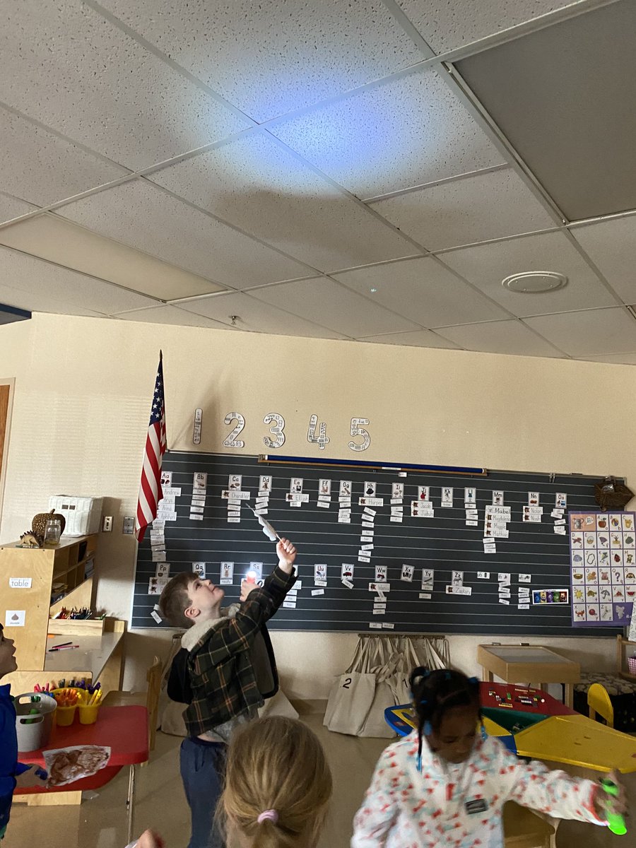 Cartycrew's tweet image. We saw all kinds of groundhog shadows today!