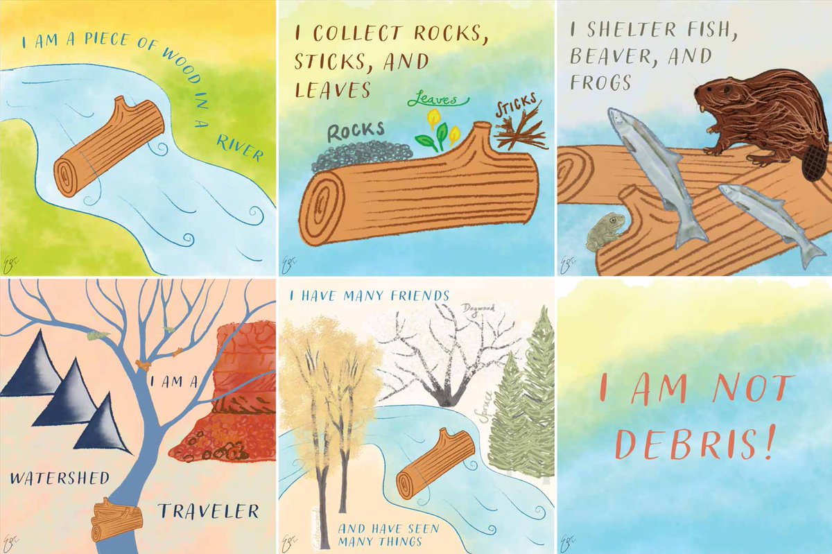 AGU_EPSP's tweet photo. #EPSPtakeover 
Large wood, once referred to in many fields as "large woody debris", provides many #ecosystem functions in river corridors. This cartoon demonstrates just a few of them. #woodisgood https://t.co/5C2iFYwV2b