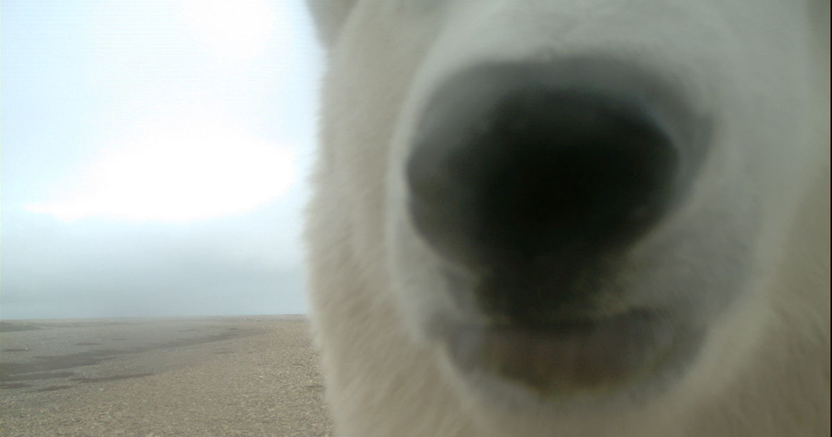 Parks Canada, Manitoba tweet media