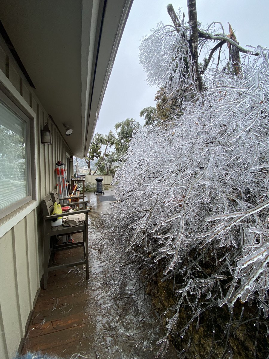 labolts's tweet photo. @TexasStandard Since 4:30am yesterday. 32hrs &amp; counting. So many trees &amp; branches keep falling. A couple barely missed our house. Now we’re under water boil notice. Plus no real news on when we’d get power back. https://t.co/kVWbW9Nvj4