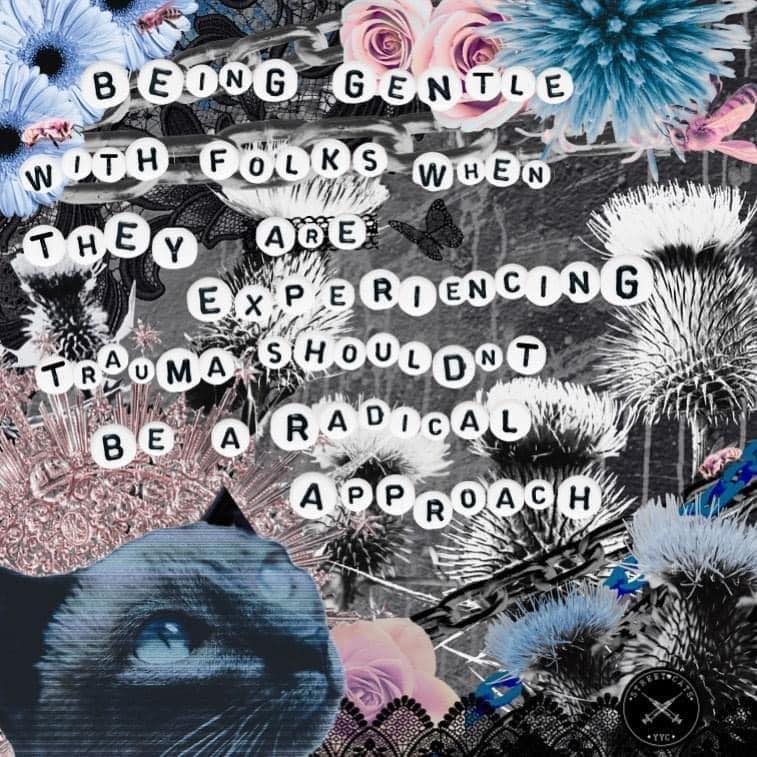 Next Stage Recovery tweet media