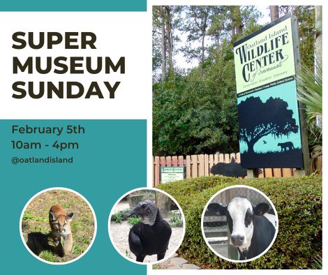 #SuperMuseumSunday is Feb. 5th! Free admission to many museums and attractions throughout the city. Get a jump start on the day with us at 10am. Click the link for a full list of participating museums.
2023 Super Museum Sunday – Georgia History Festival (georgiahistoryfestival.org/events/2023-su…)