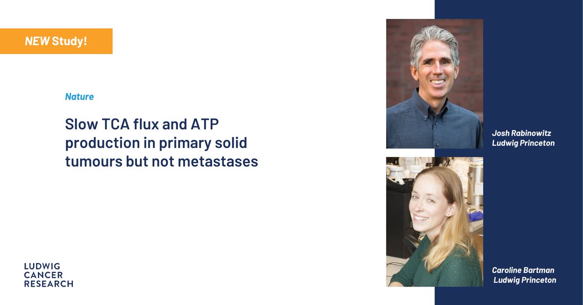 Study led by Ludwig <a href="/Princeton/">Princeton University</a>'s Josh Rabinowitz &amp; @Caroline_Bartma shows for first time that cancerous tissues thrive on low-energy budgets partly by neglecting tissue functions. Findings have implications for therapies that aim to starve tumors. <a href="/Nature/">nature</a> bit.ly/3HQ83Ma