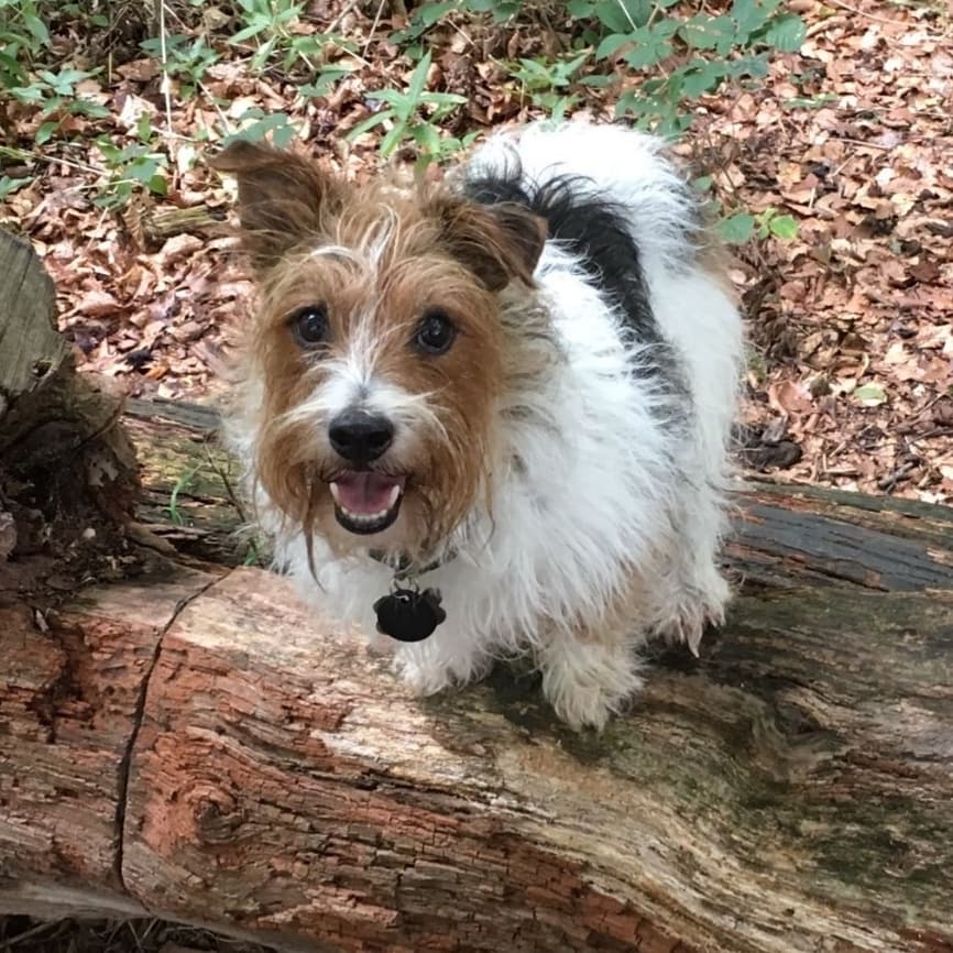 teresa mcglynn tweet media