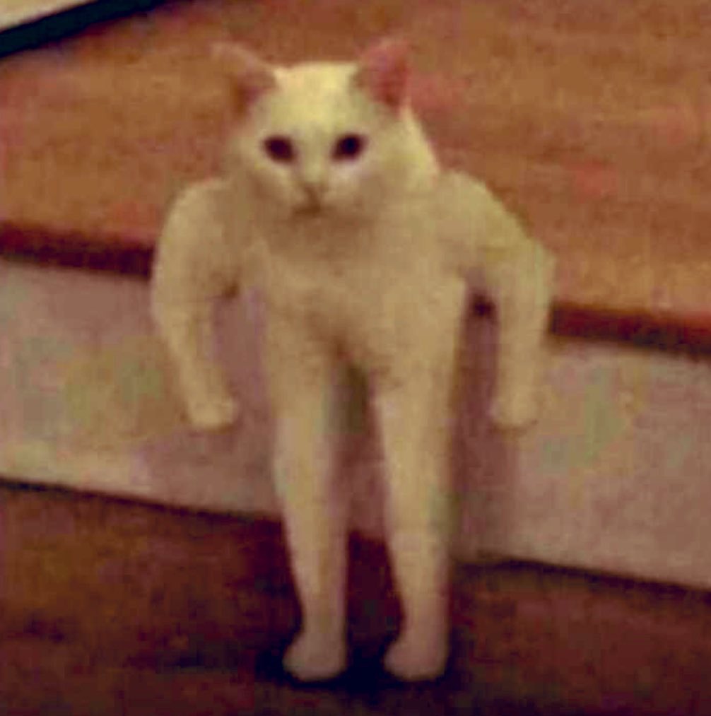 OfficialRolexD's tweet photo. Ęyin Oni POS Ęku IGÁRÀ o https://t.co/1O04oY1NyP