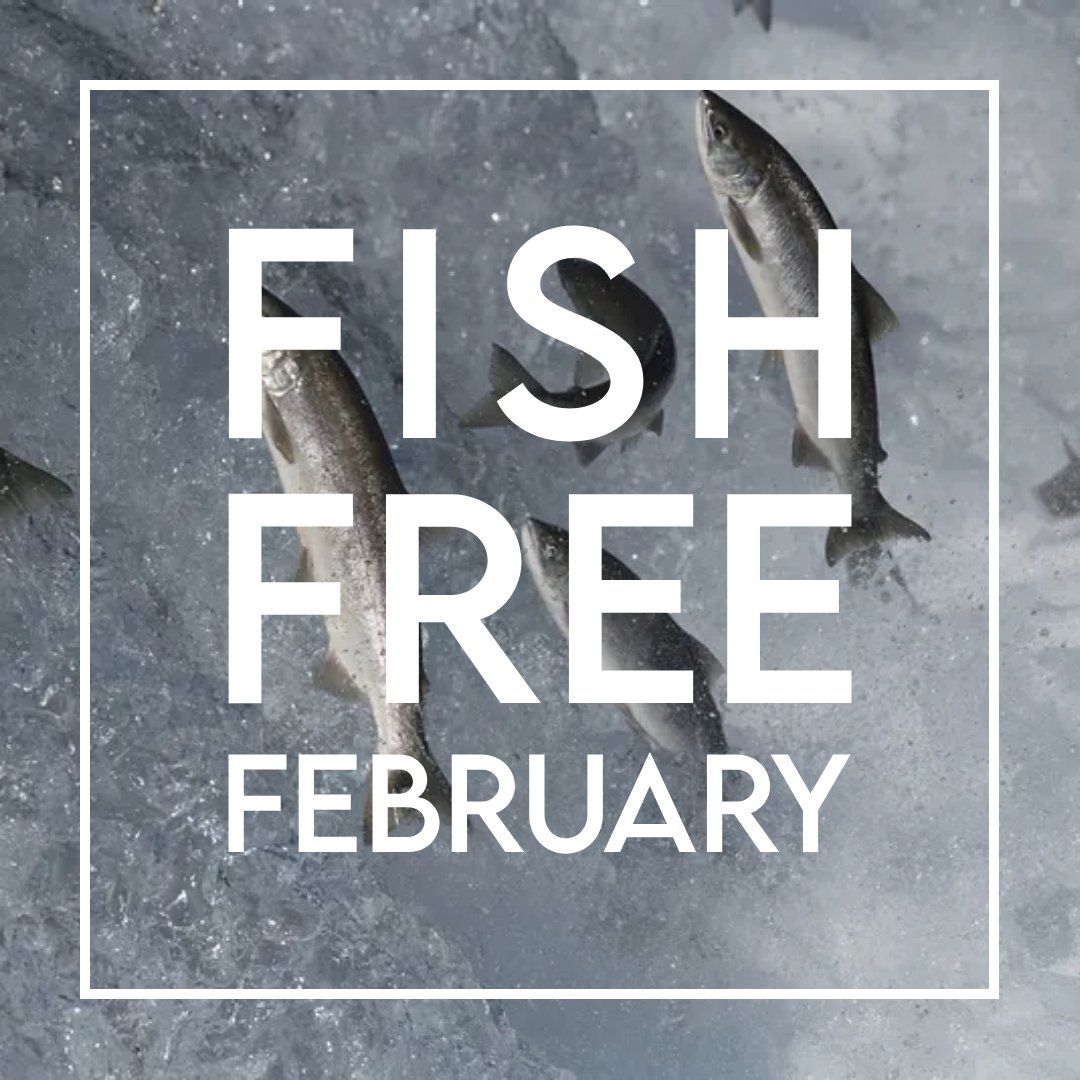 DarkHobby's tweet image. Pledge to go Fish Free February! If your food security allows, one of the best things you can do to support the oceans is to reduce your seafood consumption.

@Fish_Free_Feb

Pledge here: fishfreefebruary.com/pledge

#fishfreefebruary #fishfree