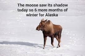 SueAikens's tweet photo. Location location location 🤣🤣 #alaska #kavikrivercamp #springtimeinalaska https://t.co/3uQszsHN9W
