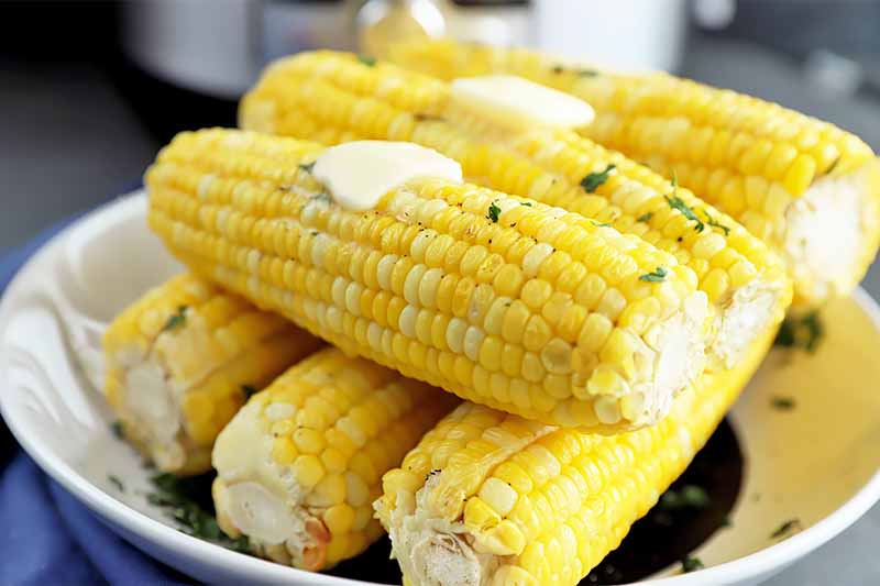 How to Cook Corn on the Cob in an Electric Pressure Cooker 🌽 >>> foodal.com/knowledge/how-… #cornonthecob #electricpressurecooker