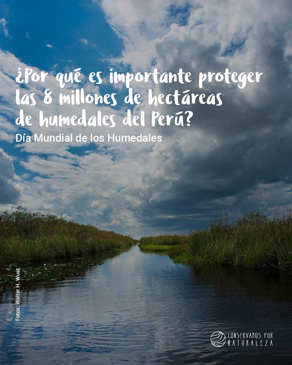 Conservamos por Naturaleza tweet media