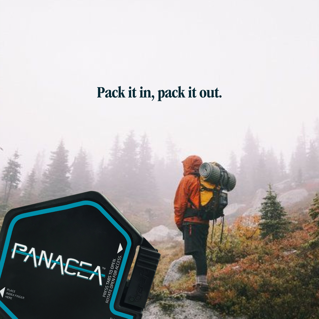 panaceabycraft tweet media