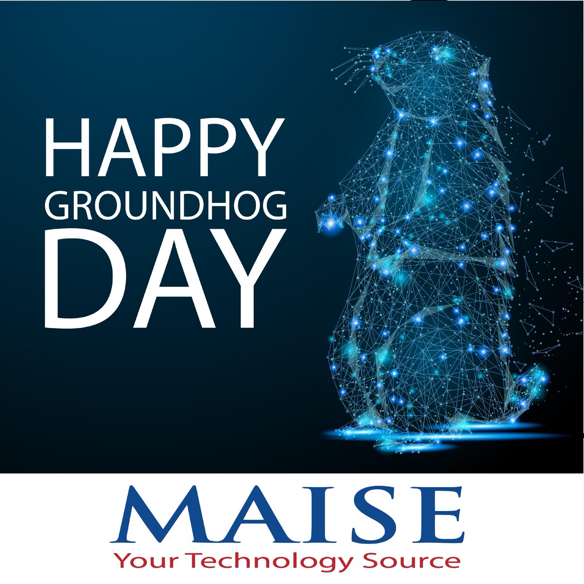 MaiseTechnology's tweet photo. Bring on 6 more weeks of winter! Happy Groundhog Day from all of us at Maise. https://t.co/nL2Bnb9ipy
