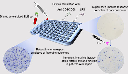J_Immunol's tweet photo. #ICYMI from Richard S. Hotchkiss @WashUanesthesia | whole blood #ELISpot assay offers a significant advance in the ability to immunophenotype patients with #sepsis #ReadTheJI #immunology  👉https://t.co/4YFDyrCPxq https://t.co/VV20KSEuJH