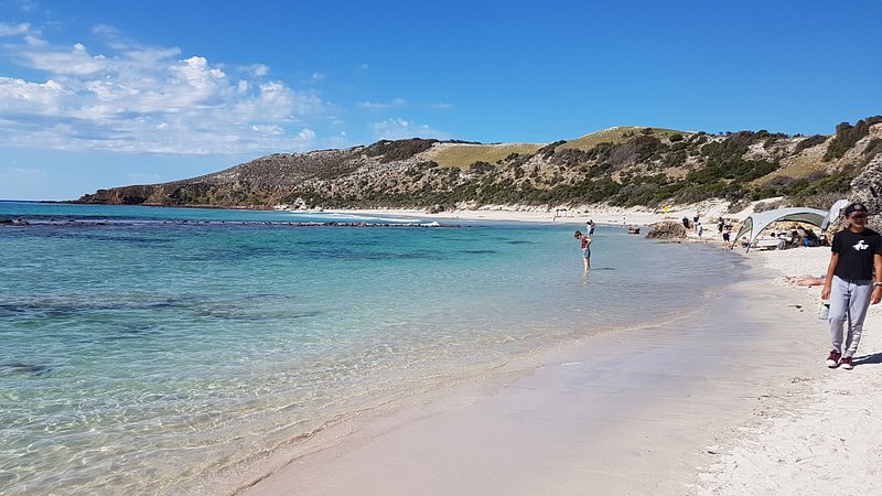 Winner Of Best Australian Beach For 2023 Is ⬇️
.
- #StokesBay  🌊🌊🌊
.
@southaustralia Beach situated At #KangarooIsland gets the honour. Dont Miss To Visit this beautiful beach on your next visit. 

#seeaustralian #comeandsaygday #seesouthaustralia #Australia 
#GalaxyS23Ultra