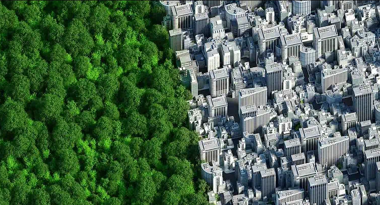 Aromatix Team tweet media