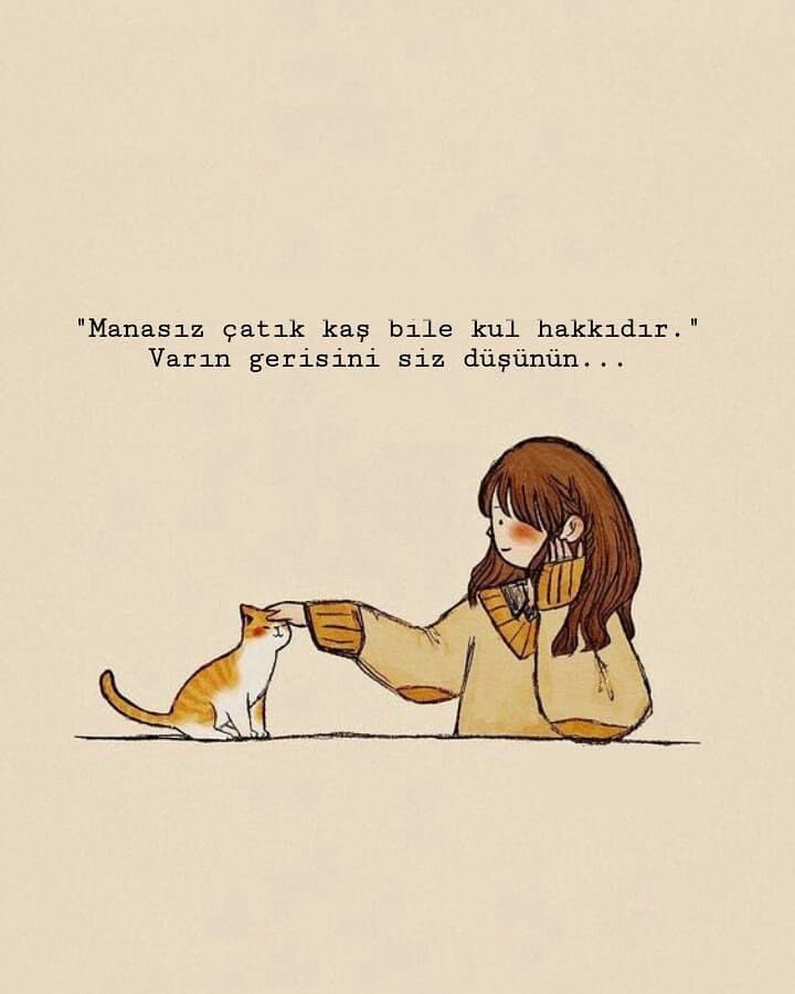 Nilsu Kurt (@nilsuuelmas) on Twitter photo 