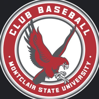 MSU_ClubBB's tweet photo. #NewProfilePic https://t.co/GG3XWq1Flr