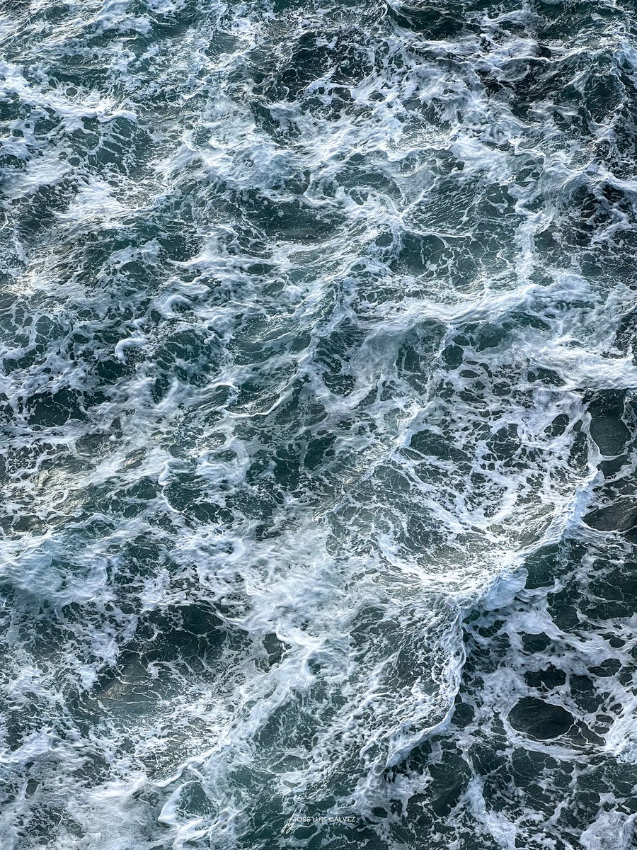 instandaluz's tweet photo. Mar bravo 🌊

#Mallorca #CalaPi #PalmadeMallorca #Baleares #Travel #Viaje #Traveler #Viajero #Photo #Foto #Photography #Fotografia #Photographer #Fotografo #Turismo #Tourism #Tourist #Turista #Landscape #Paisaje #Landscapephotography https://t.co/t9dyRev98E