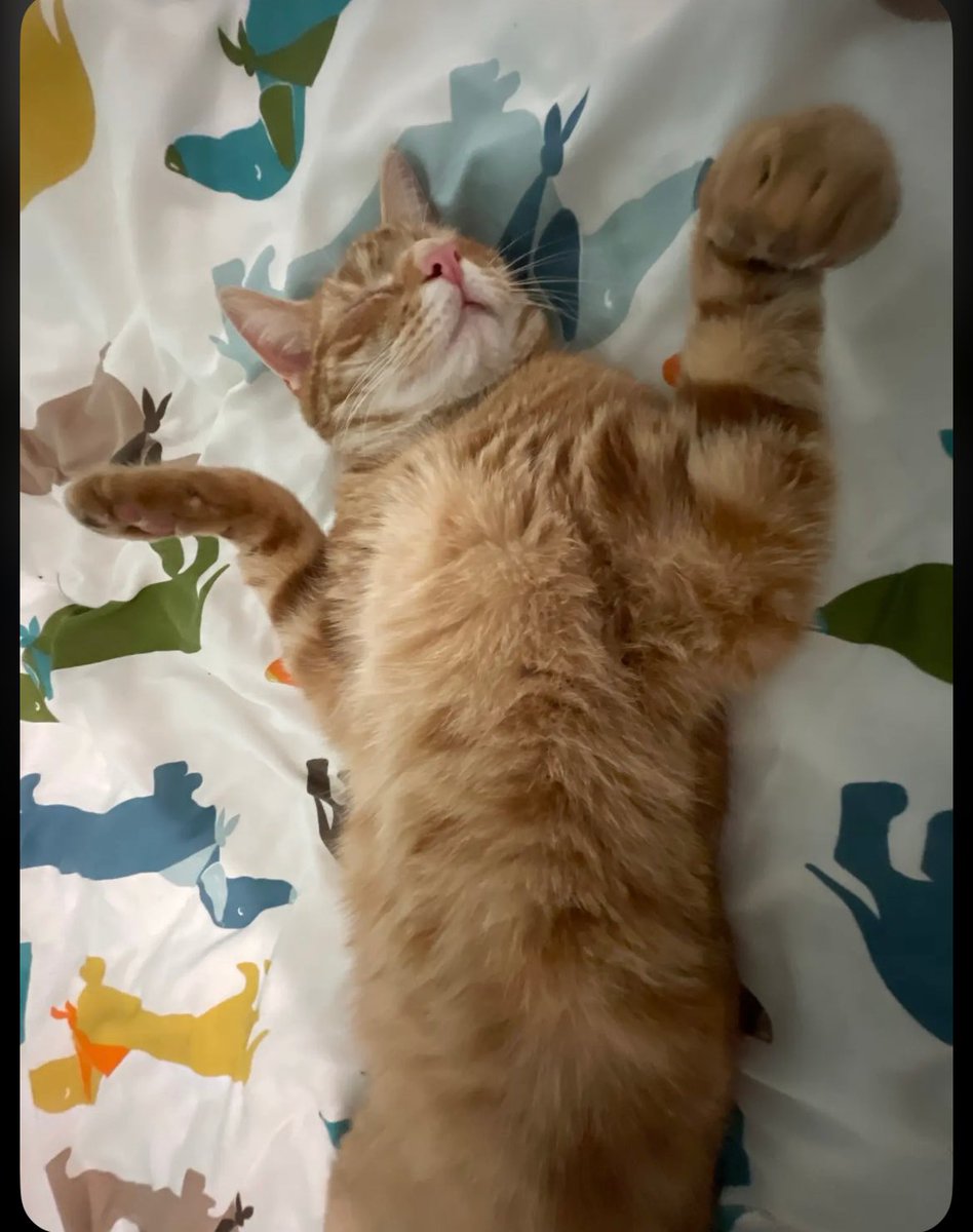 One too many cocktails after Ken’s birthday celebrations .. <a href="/RealKenBruce/">Ken Bruce</a>