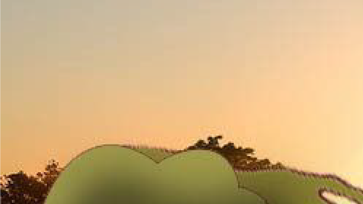 The Moshpit Tournament tweet media