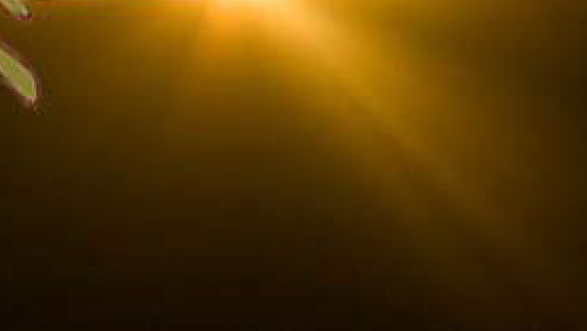 The Moshpit Tournament tweet media