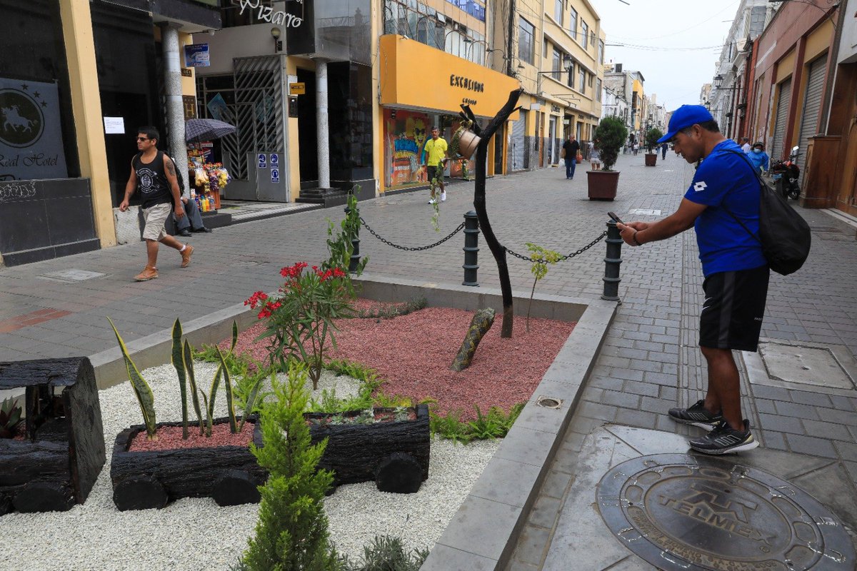 MPT_Trujillo's tweet photo. #TrujilloEsAmor I 🌱 El #Segat continúa embelleciendo nuestros espacios públicos con lo mejor que puede regalarnos la naturaleza, áreas verdes y flores ornamentales, además de esculturas artesanales que dan un aspecto diferente y más bello al jr. Pizarro. https://t.co/j9JIR2SRpj