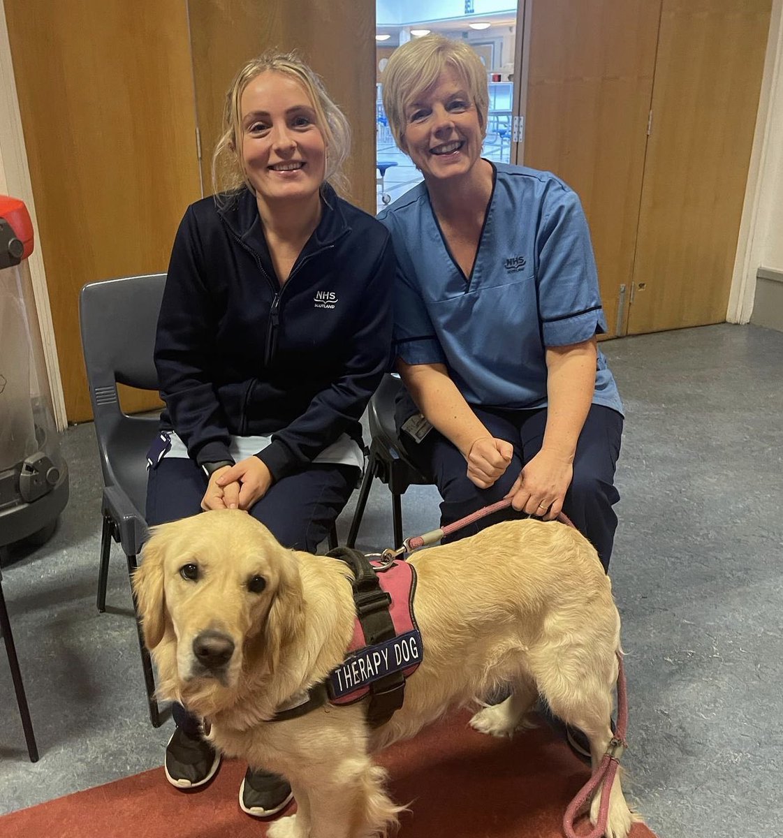 Our <a href="/BellBaxterBella/">Bella the Therapy Dog</a> was hard at work today with the wonderful <a href="/fife_imms/">NHS Fife Community Immunisation Team</a> NHS Fife immunisation team - supporting our young people and giving out lots of cuddles. #togetherness and #partnerships at it’s best to get it right for our young people!
