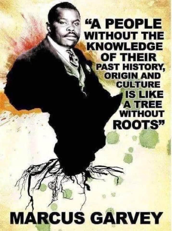 Natty Dread Chakanyuka (@gchindawi) on Twitter photo 