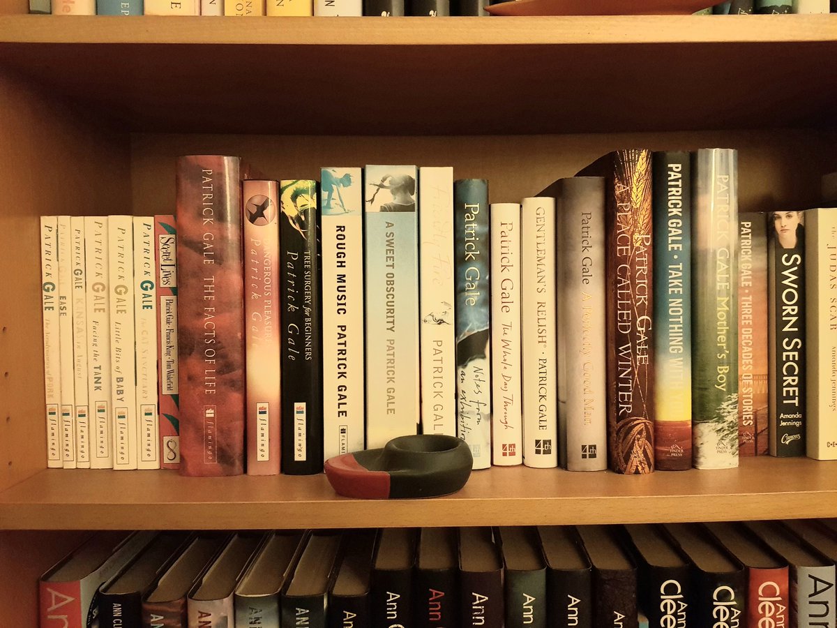 @PublicityBooks @PNovelistGale Can't resist a #Bookshelfie 😉