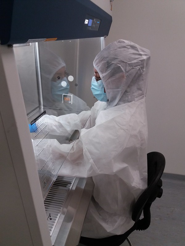 CIDRAP's tweet photo. WHO continues global polio emergency as breach noted at Dutch vaccine facility

Virus was detected in a sewage sample and was genetically similar to stocks used at the lab, then a lab worker tested pos

https://t.co/LKyvX6jYME

Photo: IAEA Imagebank, Dejan Vidanovic / Flickr cc https://t.co/ufKuH0c3LO