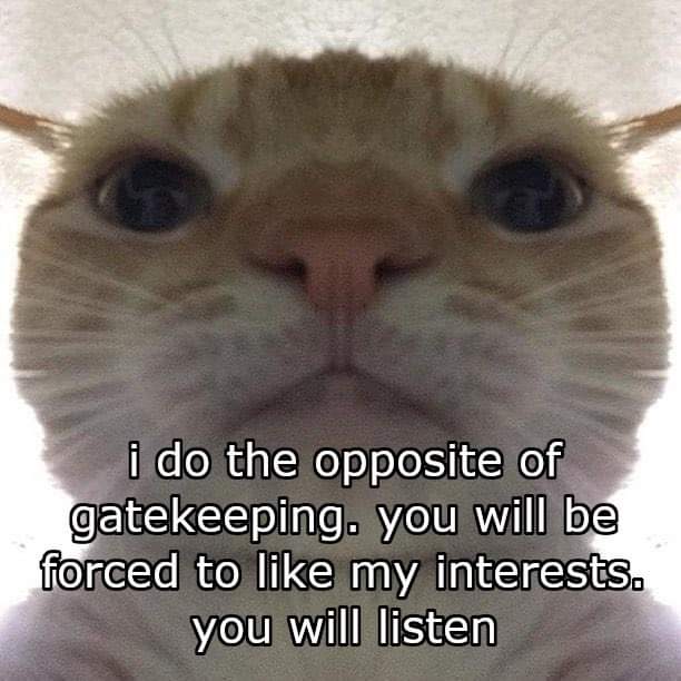CATBRAINCELL's tweet photo. https://t.co/H04bmbWHsc