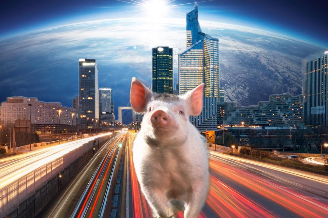louiewuree's tweet photo. Super porky 

.
.
.
.
.
.
.
.

#collage #cutandpaste #illustration #surrealism
#instacollage #digitalart #collage_art #digitalcollage
#collageartist #art #artsy #illustrationart https://t.co/ANXoqZPuyL