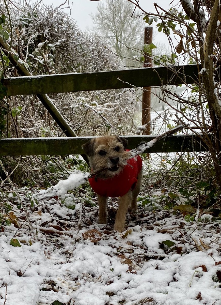 HuntJuliet's tweet photo. Snowy sticks are better than no sticks at all! ❤️⛄️ https://t.co/zkIJCa4EOK