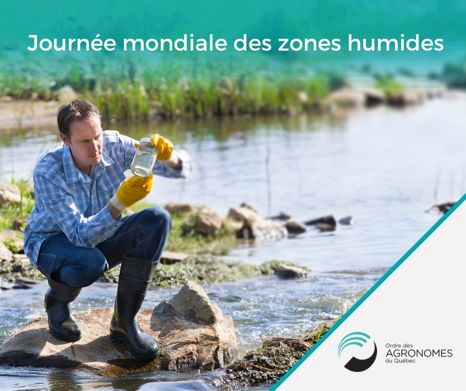 Ordre des agronomes (@agronomesqc) on Twitter photo En cette Journée mondiale des zones humides, l’OAQ souhaite remercier ses membres de jouer un rôle crucial dans la protection des milieux humides, adjacents aux zones agricoles, en s’assurant d’utiliser des pratiques durables pour garantir la santé des écosystèmes. En cette Journée mondiale des zones humides, l’OAQ souhaite remercier ses membres de jouer un rôle crucial dans la protection des milieux humides, adjacents aux zones agricoles, en s’assurant d’utiliser des pratiques durables pour garantir la santé des écosystèmes.