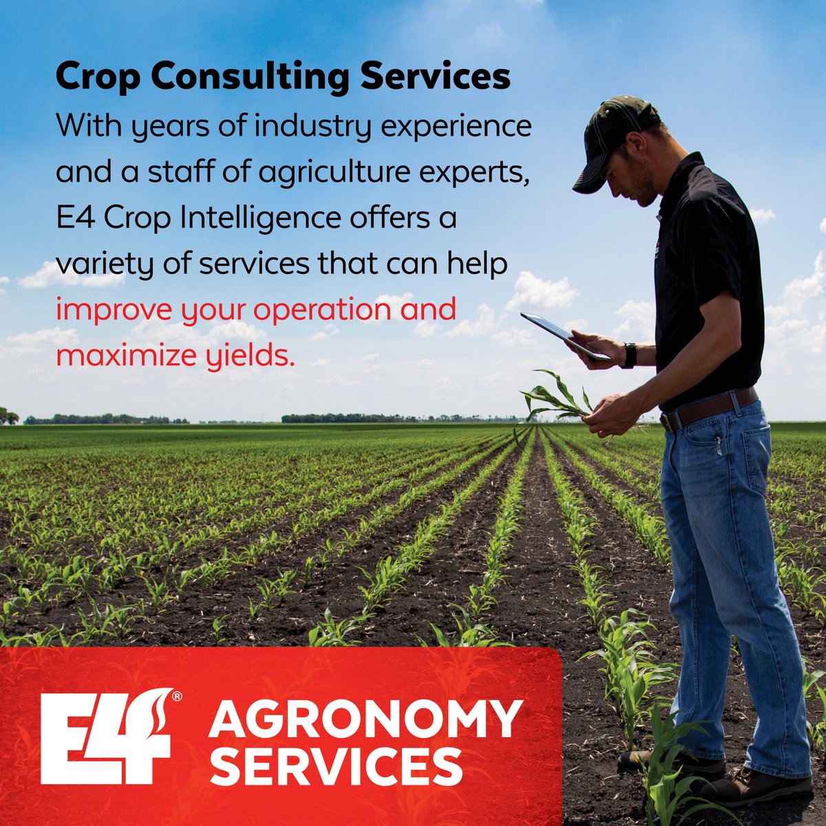 E4CropIntel's tweet photo. With years of industry experience and advanced technology, we are able to offer a variety of services to help you maximize your yield! 

Learn what we do » https://t.co/WDqWhkFZYU

#E4CropIntelligence
#Agronomy
#Farming
#Crops
#CropIntelligence https://t.co/dlSXE2Taes