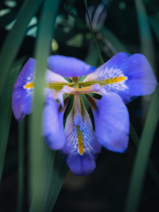 花言葉 の評価や評判 感想など みんなの反応を1時間ごとにまとめて紹介 ついラン 花言葉 の評価や評判 感想など みんなの反応を1時間ごとにまとめて紹介 ついラン