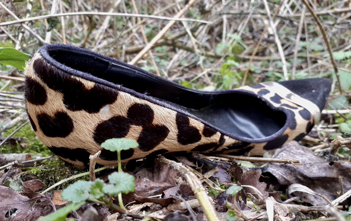 MadameFlora's tweet photo. Spotted suspended stiletto’s spouse @RadleyLakes today, will they stay separated or be re-united? #ShoeStory https://t.co/n7CDGaqNoE