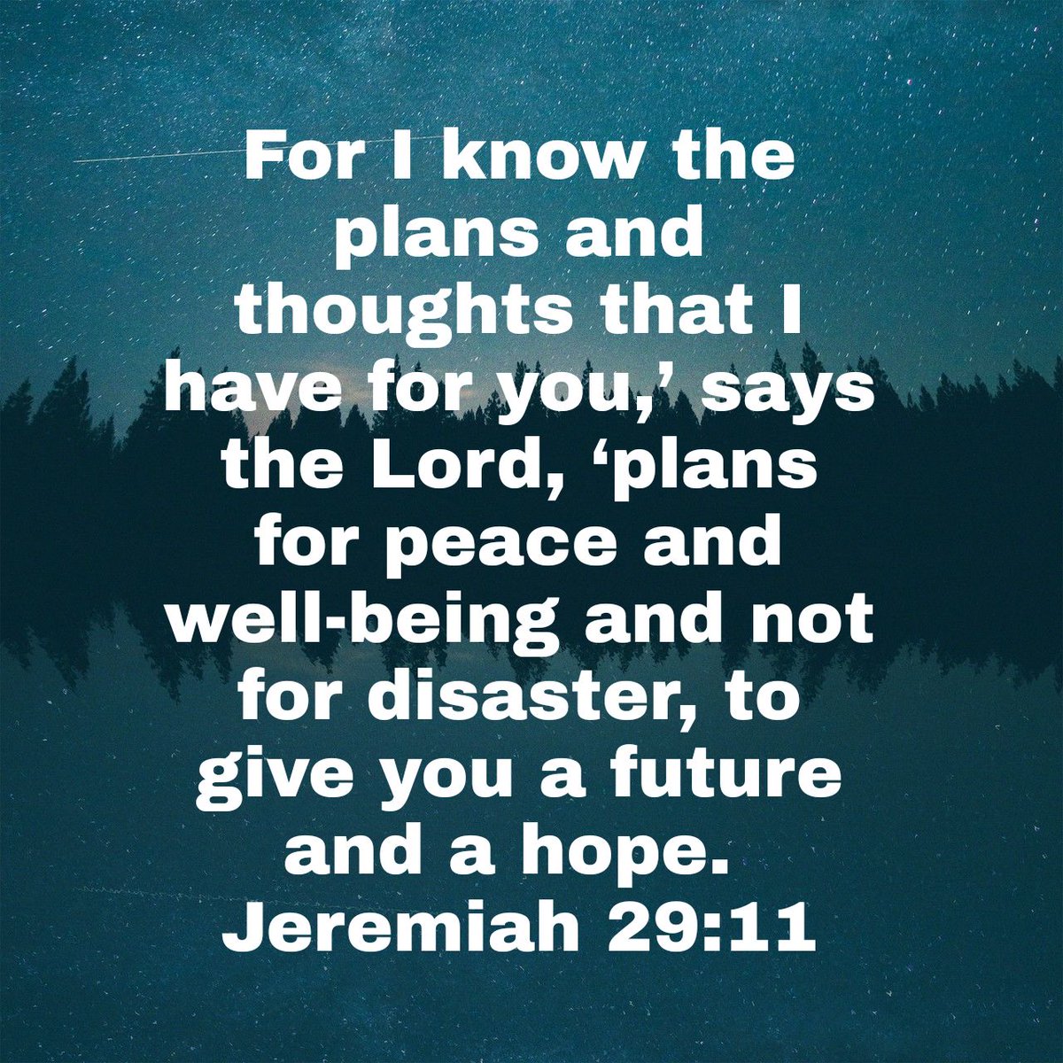 For I know the plans and thoughts that I have for you,’ says the Lord, ‘plans for peace and well-being and not for disaster, to give you a future and a hope.
Jeremiah 29:11 AMP

bible.com/bible/1588/jer…