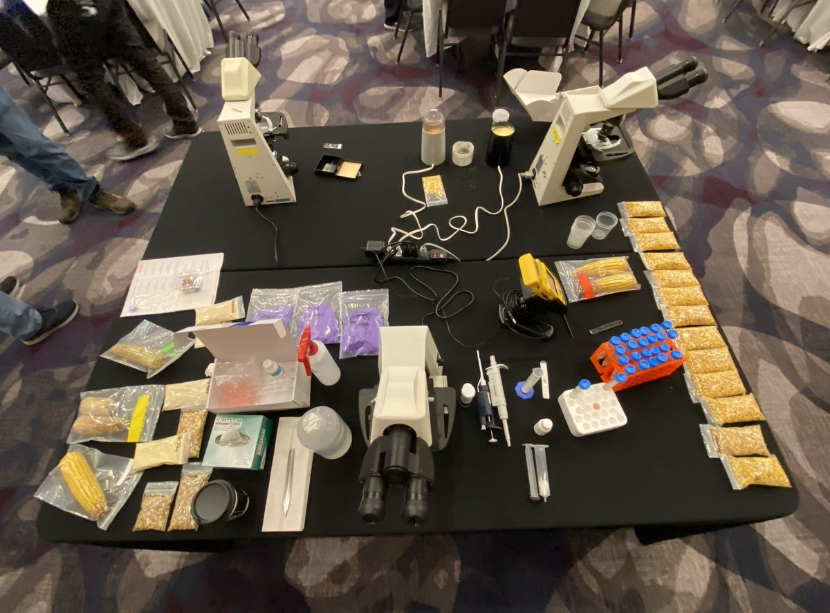 The Cereal Pathology Extension Team had a great time participating in the Ohio Agribusiness Association Industry Conference in Columbus today! We led a hands-on workshop on corn disease identification and enjoyed engaging with the attendees 🌽🔬📈🧫 #Corn #GibberellaEarRot #DON